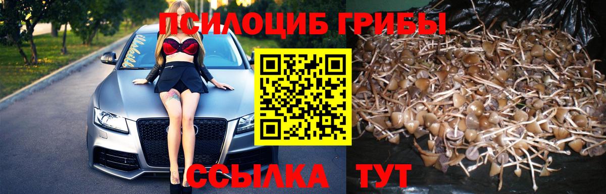 Псилоцибиновые грибы прущие грибы Белгород